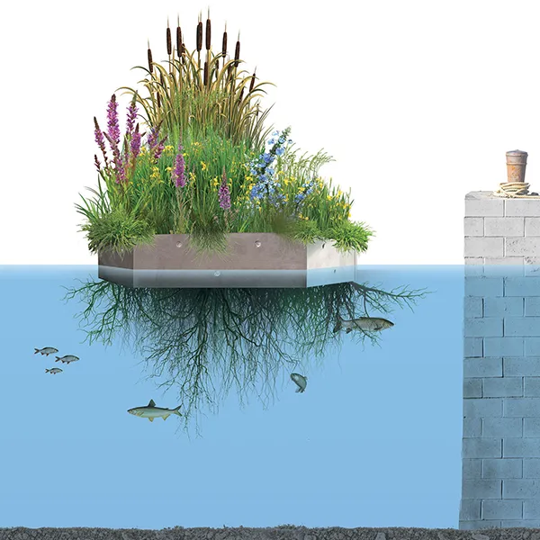 Jardin flottant Aloé© un aménagement pour la biodiversité aquatique