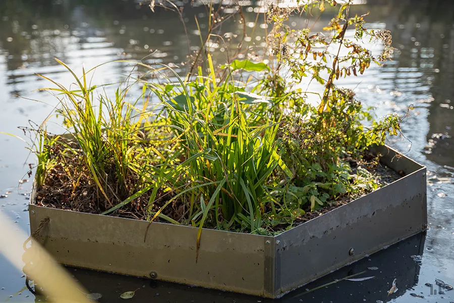 Le module aloé© jardin flottant pour la biodiversité par Urbanoé