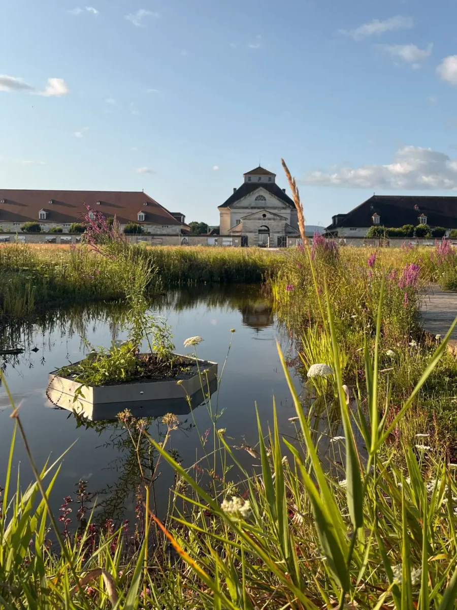 Aloé le jardin sur l'eau par urbanoé