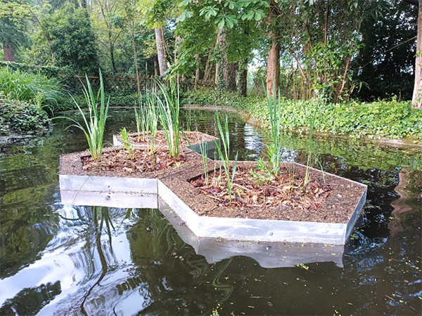 installation de 10 modules aloé sur un bassin pour un particulier