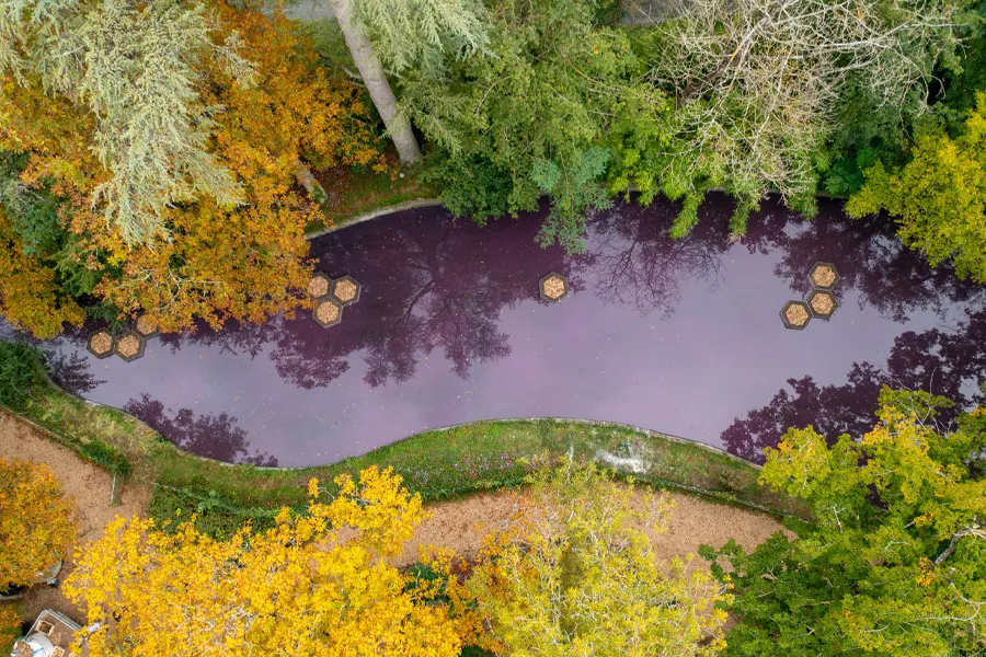 Aloé, je le jardin sur l'eau pour les professionnels et les collectivités