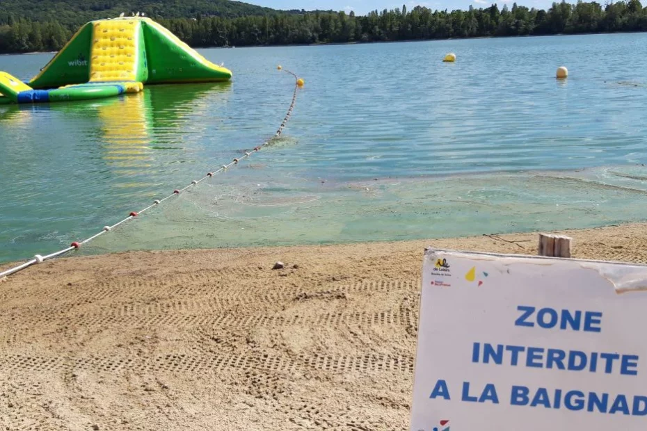 Les jardins flottants permettent ils de limiter la présence de cyanobactéries dnas les surfaces de baignades naturelles