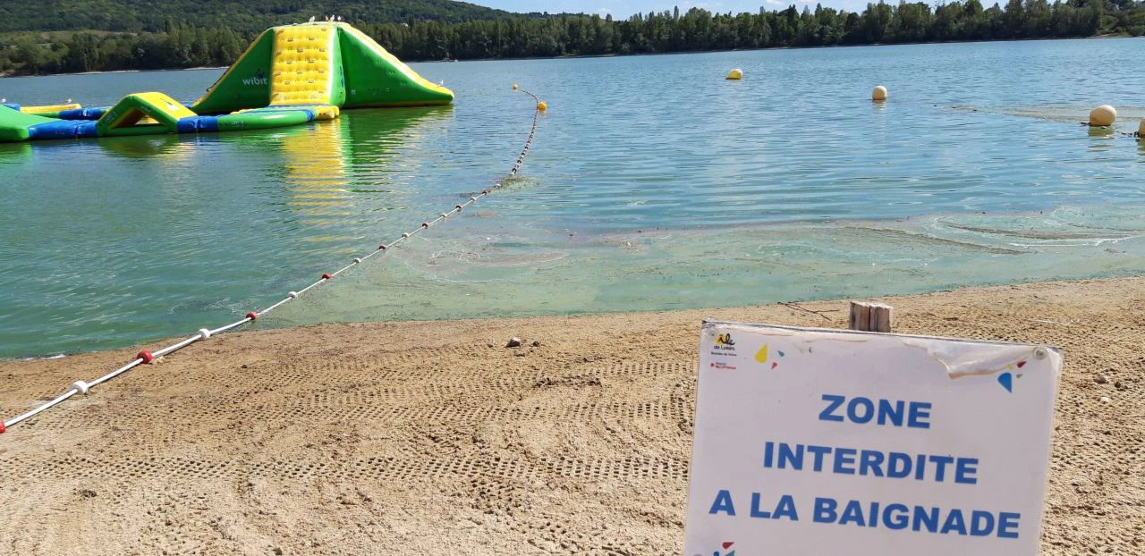 Les jardins flottants permettent ils de limiter la présence de cyanobactéries dnas les surfaces de baignades naturelles