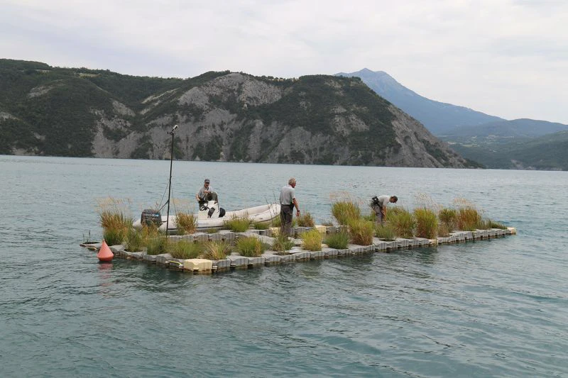 Les jardins flottants peremttente de favoriser la biodiversité